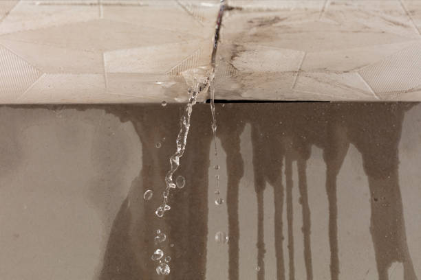 Professional Structural Drying technician working in La Mesa, CA